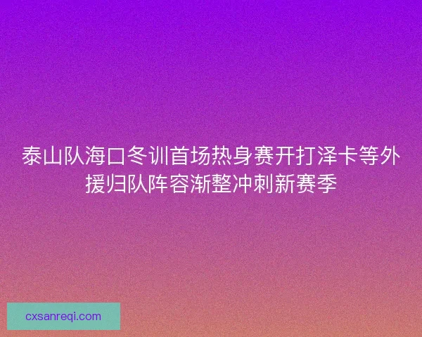 泰山队海口冬训首场热身赛开打泽卡等外援归队阵容渐整冲刺新赛季